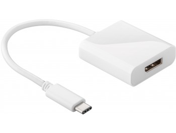 USB-C plug till Displayport