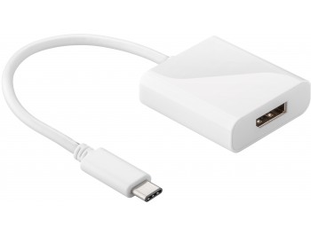 USB-C plug till Displayport