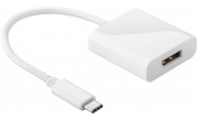 USB-C plug till Displayport